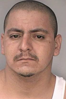 Menendezquintana Mario - Hillsborough County, FL 