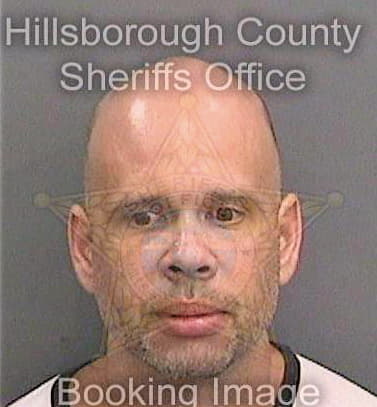 Ribeiro Hoton - Hillsborough County, FL 