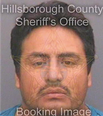 Martinez Isidro - Hillsborough County, FL 