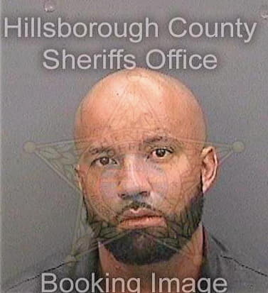 Salley Ryan - Hillsborough County, FL 