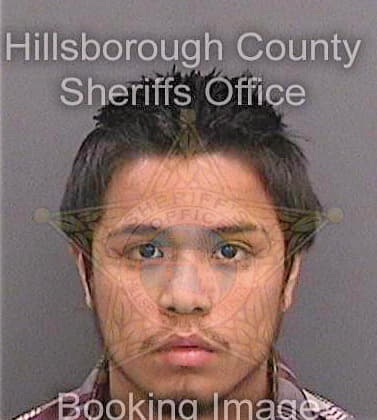 Garcia Antonio - Hillsborough County, FL 