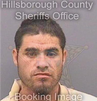 Gutierrez Carlos - Hillsborough County, FL 