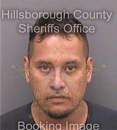 Lazarohernandez Daniel - Hillsborough County, FL 