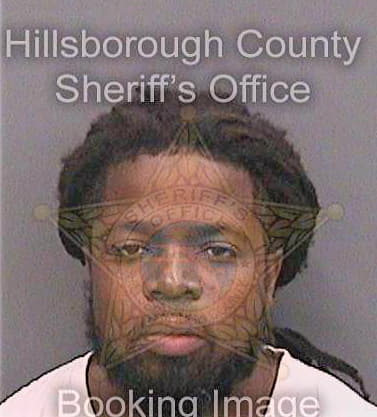 Pearson Dewayne - Hillsborough County, FL 