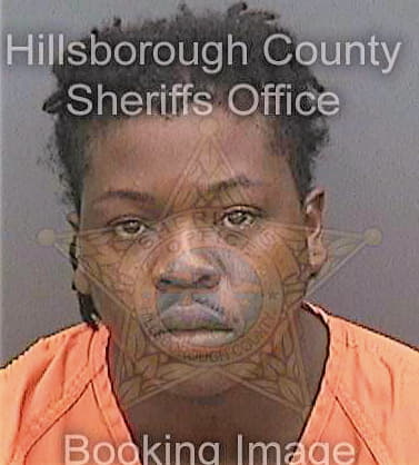 Clark Rakheam - Hillsborough County, FL 