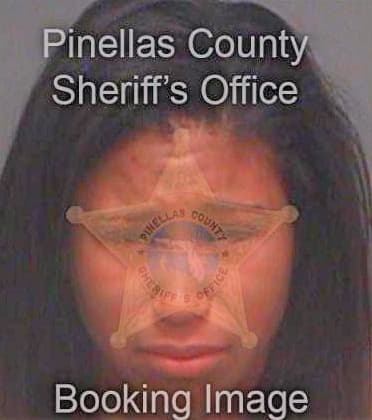 Ramos Erica - Pinellas County, FL 