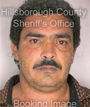 Negron Juan - Hillsborough County, FL 