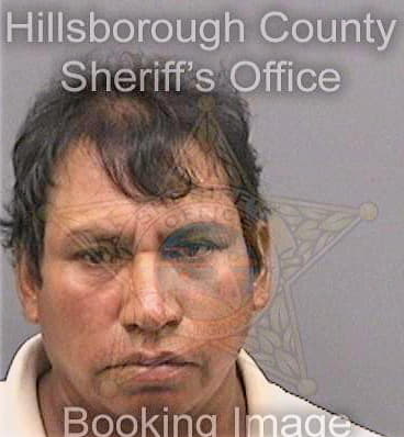 Gomezgomez Mariano - Hillsborough County, FL 