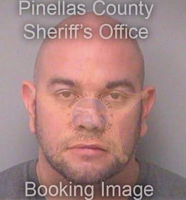 Wilkins John - Pinellas County, FL 