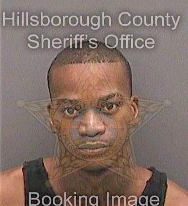 Larry William - Hillsborough County, FL 