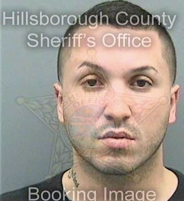 Sierra Andres - Hillsborough County, FL 