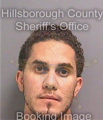 Gonzalez Gabriel - Hillsborough County, FL 