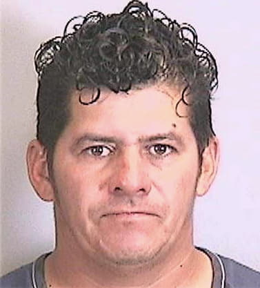 Hernandez Roberto - Manatee County, FL 