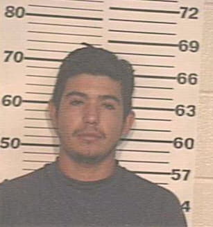 Ramirez Sergio - Hidalgo County, TX 