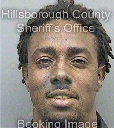 Sheffield Jayson - Hillsborough County, FL 