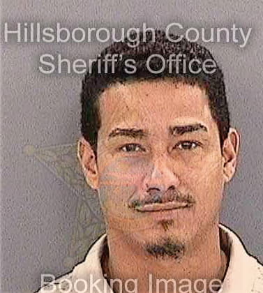 Vegarodriguez Antonio - Hillsborough County, FL 