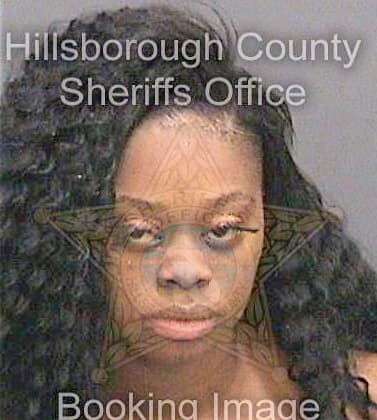 Carswell Britney - Hillsborough County, FL 