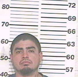 Verastegui David - Hidalgo County, TX 