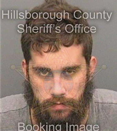 Mccarthy Michael - Hillsborough County, FL 