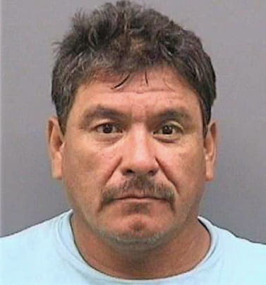 Carmona Ignacio - Hillsborough County, FL 