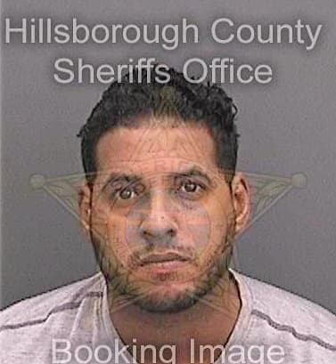 Corderoalvarez Ernesto - Hillsborough County, FL 