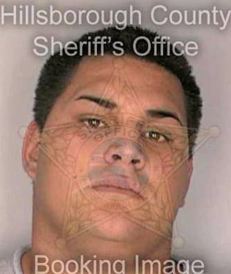 Dick Luis - Hillsborough County, FL 