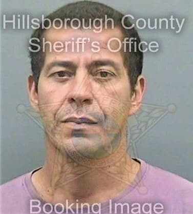 Silva Juan - Hillsborough County, FL 