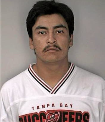 Ramirez Franco - Hillsborough County, FL 