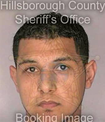 Hussein Semir - Hillsborough County, FL 