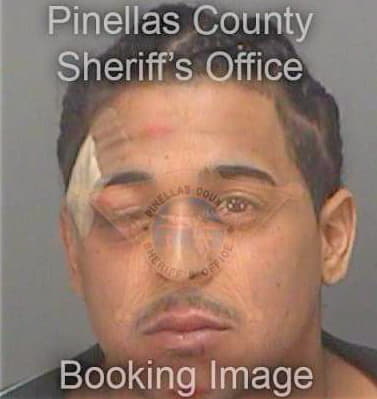 Delgado Ericks - Pinellas County, FL 