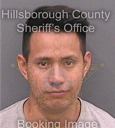 Batenlopez Francisco - Hillsborough County, FL 