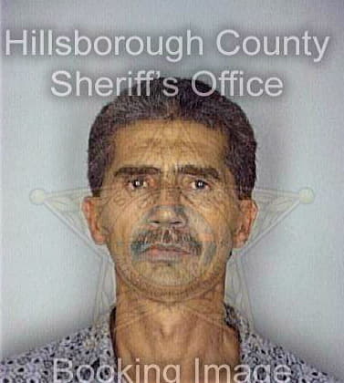 Serrano Julian - Hillsborough County, FL 