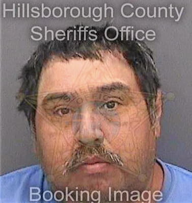 Ramirez Omar - Hillsborough County, FL 