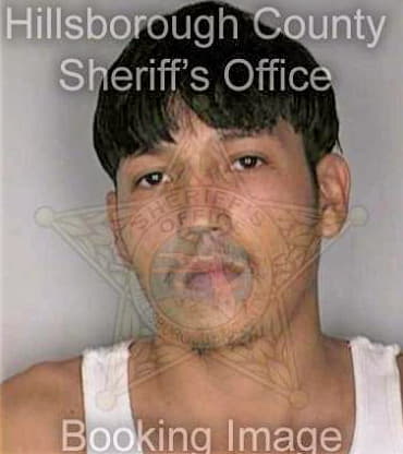 Degollado Daniel - Hillsborough County, FL 