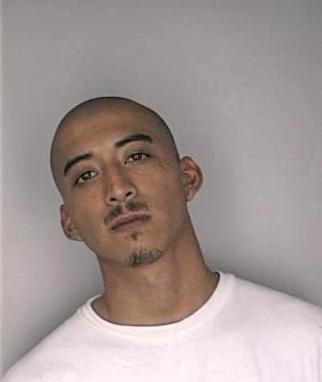 Manriquez Henry - Hillsborough County, FL 