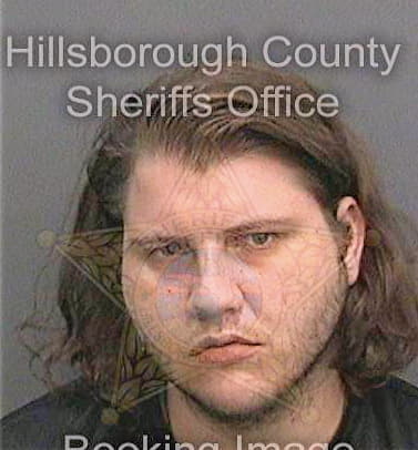 Mccarthy Ian - Hillsborough County, FL 