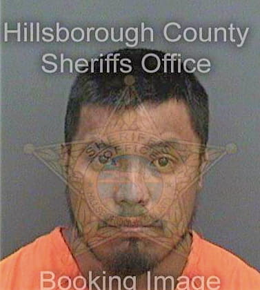 Perezhernandez Oliver - Hillsborough County, FL 