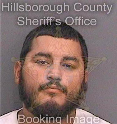 Medina Jesus - Hillsborough County, FL 