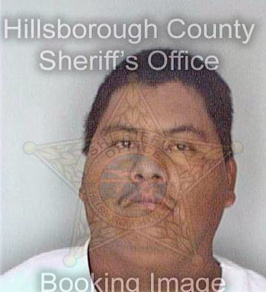 Lopezramirez Caralampio - Hillsborough County, FL 