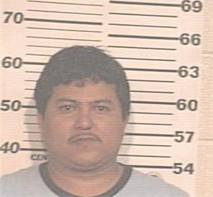 Meza Enrique - Hidalgo County, TX 