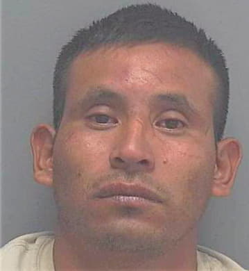 Santiz-Gomez Pascual - Lee County, FL 