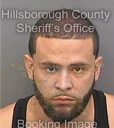 Pantoja Eduardo - Hillsborough County, FL 