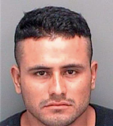 Vargas Jose - Pinellas County, FL 