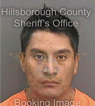 Diazdiaz Miguel - Hillsborough County, FL 