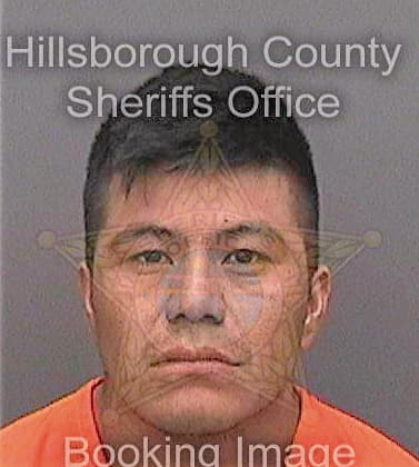 Perezmendez Selvin - Hillsborough County, FL 