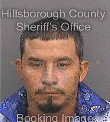 Nolascocarbajal Domingo - Hillsborough County, FL 