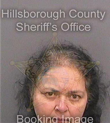 Patel Kalpana - Hillsborough County, FL 