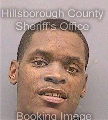 Hamilton Teshea - Hillsborough County, FL 