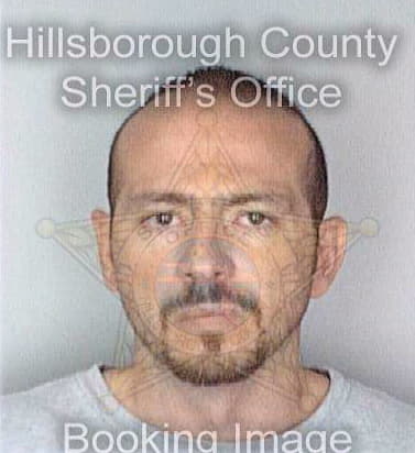 Fuentes Faustino - Hillsborough County, FL 