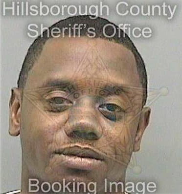 Sapp Demaris - Hillsborough County, FL 